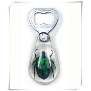  Green Chafer Beer Bottle Opener (Clear) 