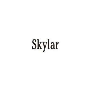  Skylar Laser Name Italian Charm Link: Jewelry