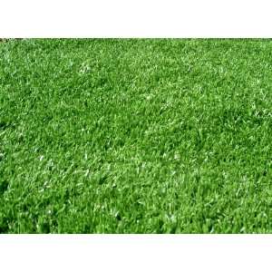   SYNTHETIC GRASS, 5.9WX23L (135 SQUARE FEET): Patio, Lawn & Garden