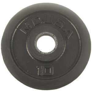  Black Metal Weight Plate 10lb (Pair): Sports & Outdoors