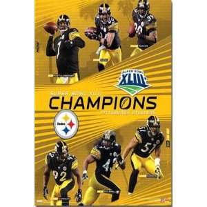  NFLs Super Bowl XLIII Champions   Pittsburgh Steelers 