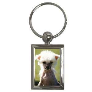  Chinese Crested Key Chain: Office Products