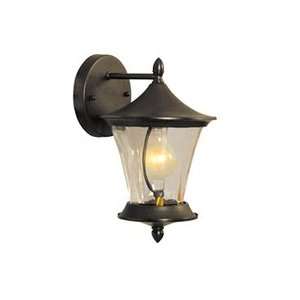    Outdoor Wall Sconces Forte Lighting 1766 01: Home Improvement
