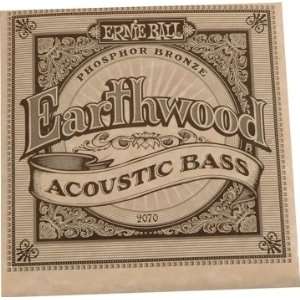   Acoustic Bass (Earthwood Acous Bass 4 St Set): Musical Instruments