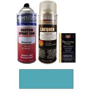   Spray Can Paint Kit for 1967 Chevrolet Camaro (FF (1967)): Automotive