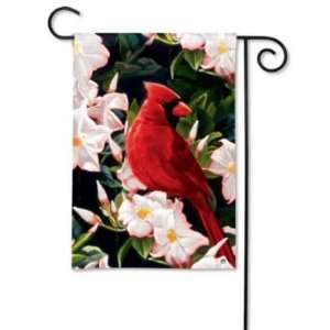 Garden Cardinal Garden Flag: Patio, Lawn & Garden