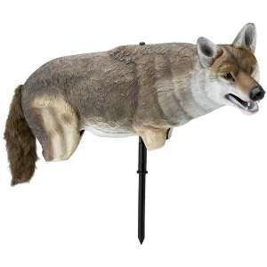  Edge By Expedite Yote Coyote Decoy Life Sized Lightweight 