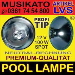 SWIMMING POOL BIRNE 12V/100W LAMP BULB LEUCHTMITTEL LVS  