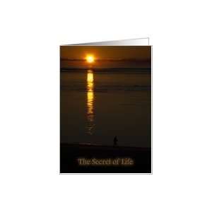  The Secret of Life Sunrise Beach Card Health & Personal 