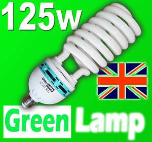 125w CFL Photography Bulb Daylight Balanced 5500k E27  