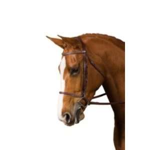   Plain Raised Bridle with Reins Black, Full: Sports & Outdoors
