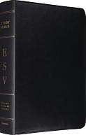 BARNES & NOBLE  English Standard Version (ESV) Bible