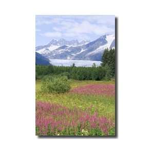  Mendenhall Glacier Juneau Alaska Giclee Print