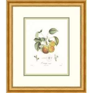  Pears/Orange Rouge by Francois Langlois   Framed Artwork 