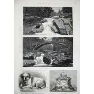   1880 Braemar Scotland Chinese Pug Dog Casket Bessemer
