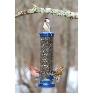  Aspects Blue Small Seed Tube Feeder: Home & Kitchen