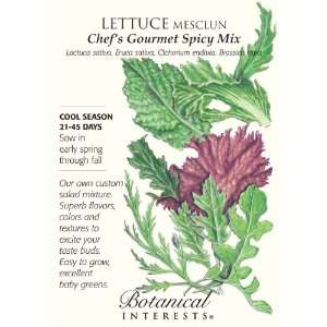  Lettuce Mesclun Chefs Gourmet Spicy Mix Seed: Patio, Lawn 
