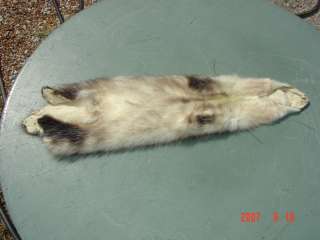 Opossum garment tanned fur trapper hide skin road kill  