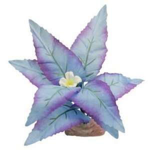 Blue Ribbon Pet Products Broad Leaf Cluster Mini Plant  