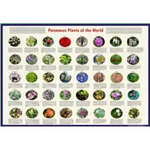  Poisonous Plants of the World