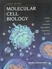 Molecular Cell Biology by Paul Matsudaira, Harvey Lodish and David 