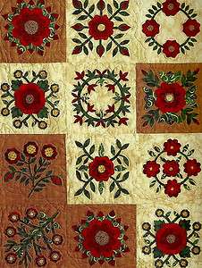48 Hour Applique Quilts Make Quilt n Record Time 74 Blocks Quilting 