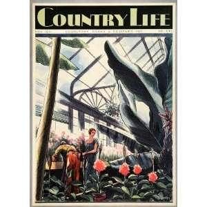 1931 Cover Country Life Greenhouse Gardening Horticulture Walter Buehr 