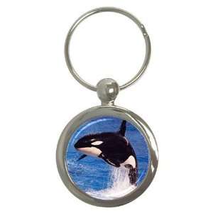  Orca Killer Whale Key Chain (Round): Office Products