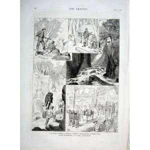  Bear Hunt Pyrenees Antique Print 1876 Vincennes: Home 