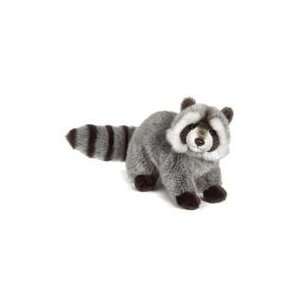  Webkinz Signature Raccoon Pre sale: Everything Else