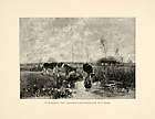 1899 print meadows water color cow cattle stream landscape scenery