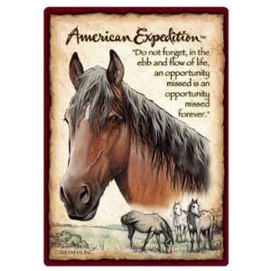 New American Expedition Mustang Playing Cards Reflection Of The Modern 