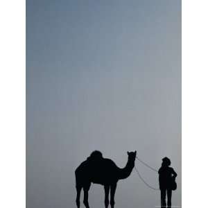 Thar Desert Tribesman and Camel at Pushkar Camel Fair, Pushkar 
