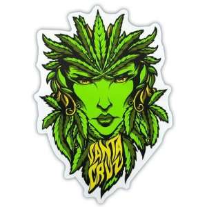  Santa Cruz Weed Goddess Sticker (6)