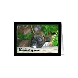  Thinking of you Brindle boxer puppy Card Health 