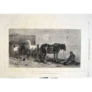   Horse For Sale By Riviere Antique Print 1870 Fine Art