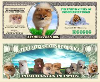 OUR POMERANIAN DOG LOVERS DOLLAR BILL (2/$1.00)  
