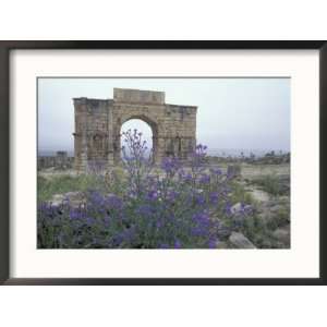  Ruins of Triumphal Arch in Ancient Roman city, Morocco 