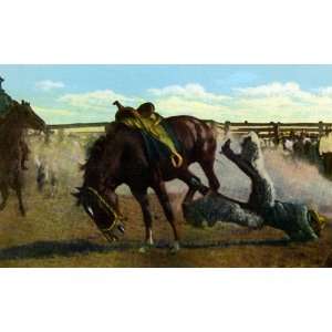  Bucking Bronco Wins at Cheyenne Frontier Days   Fine Art 