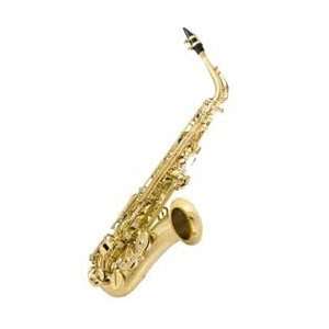  Amati AS43 Student Alto Saxophone (Gold Lacquer) Musical 