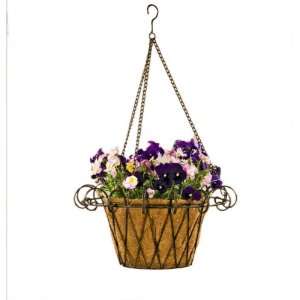  Deer Park BA131 French Hanging Basket with Cocoa Moss 