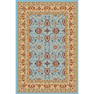  Dynamic Rugs 2803: Home & Kitchen