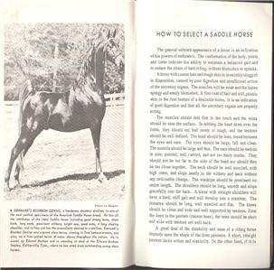 Beerys Saddle Horse Instructions~Training & History~  