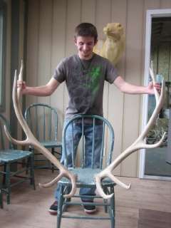7x6 ELK SHED ANTLERS deer mule whitetail mount rack mount taxidermy 
