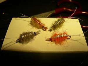 Tailwater Sow bug Scud Olive Tan +Trout Guide Fly sz16  