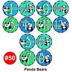 PANDA BEARS Baby Month Onesie Stickers Baby Shower Gift Photo Shower 