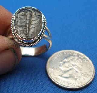 Trilobite Ring, Sterling Silver, Elrathia kingi, Utah  