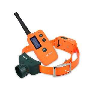   Display Pet Training Remote Training and Beeper Collar: Pet Supplies