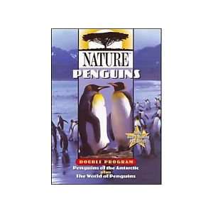  Nature: Penguins: Toys & Games