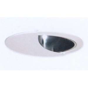  Clear Reflector With Wall Washer: Home Improvement
